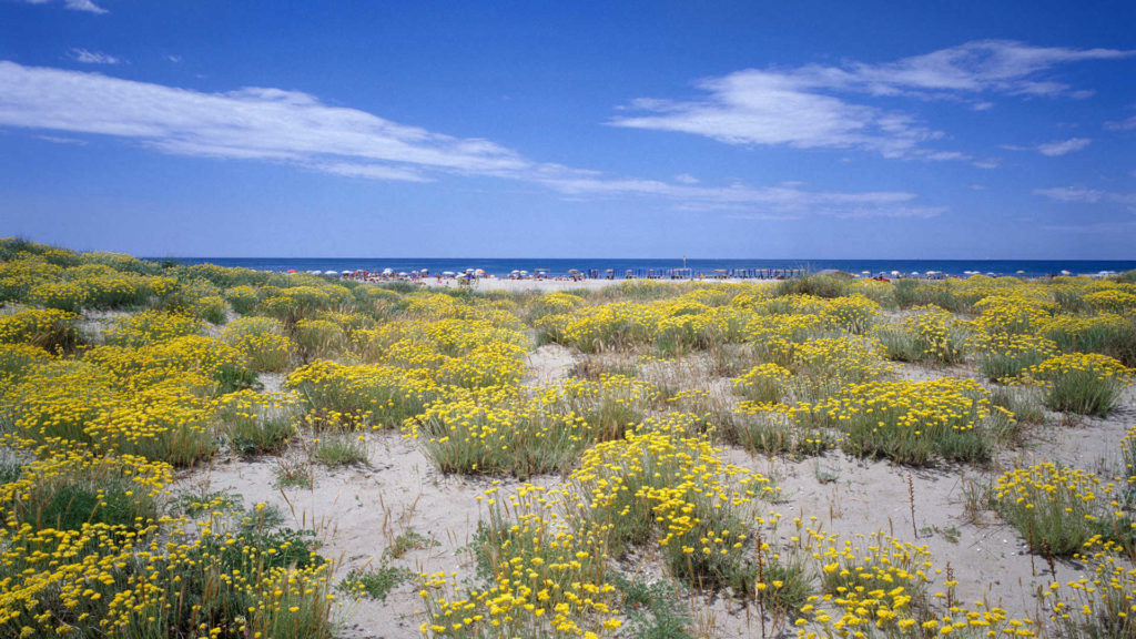 Camping Toscane Europa