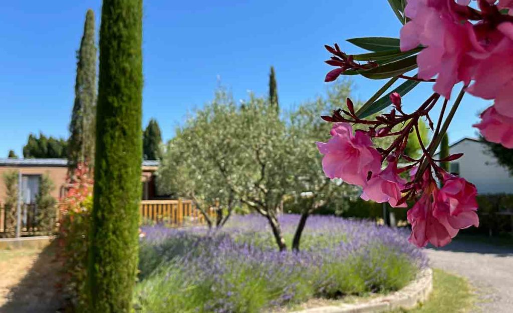 Emplacement de camping à Saint Rémy de Provence