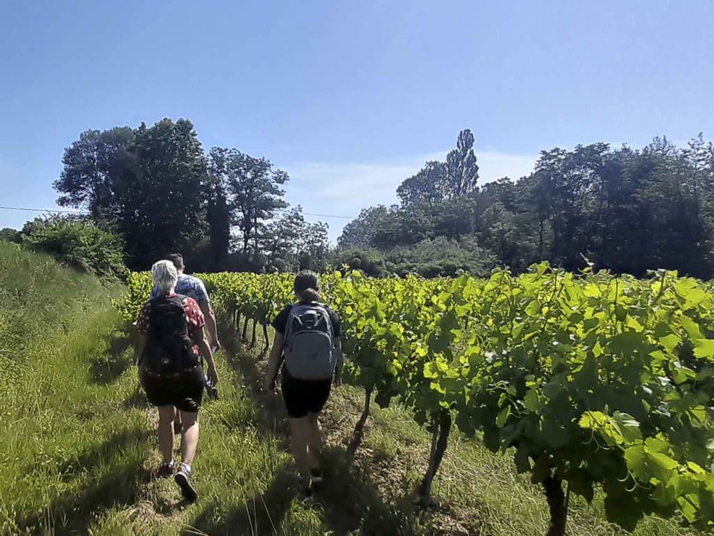 Emplacement de camping dans le Gard à Cornillon
