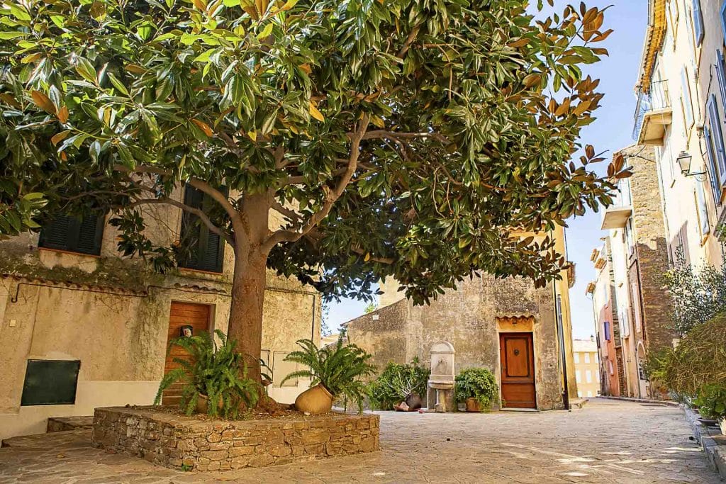 Emplacement de camping à Bormes les Mimosas dans le Var